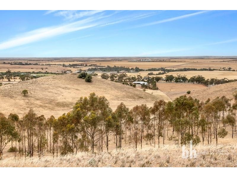 2919 Reedy Creek Road, Palmer SA 5237