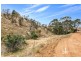 2919 Reedy Creek Road, Palmer SA 5237