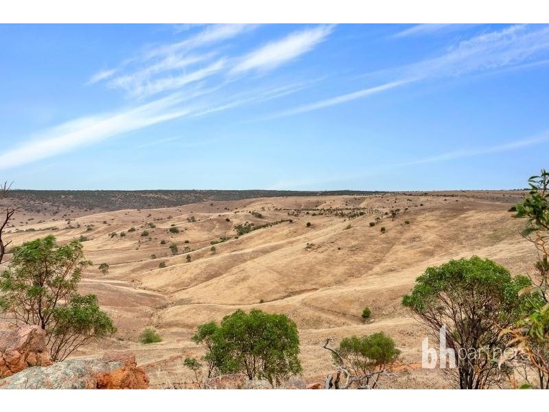 2919 Reedy Creek Road, Palmer SA 5237