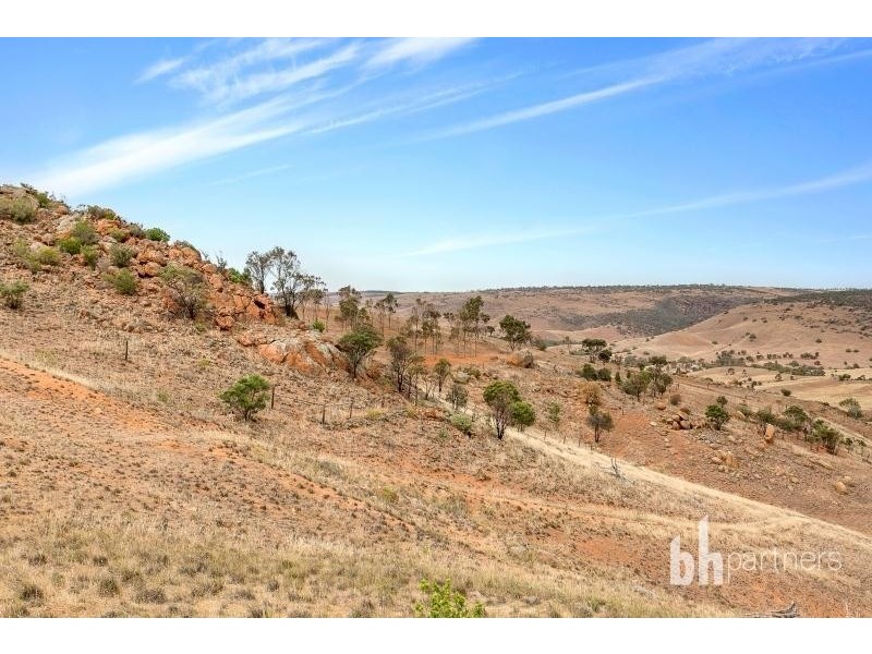 2919 Reedy Creek Road, Palmer SA 5237