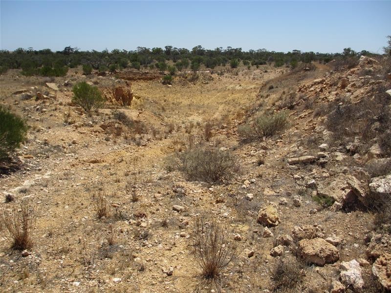 Lot 10 Stott Highway, Swan Reach SA 5354