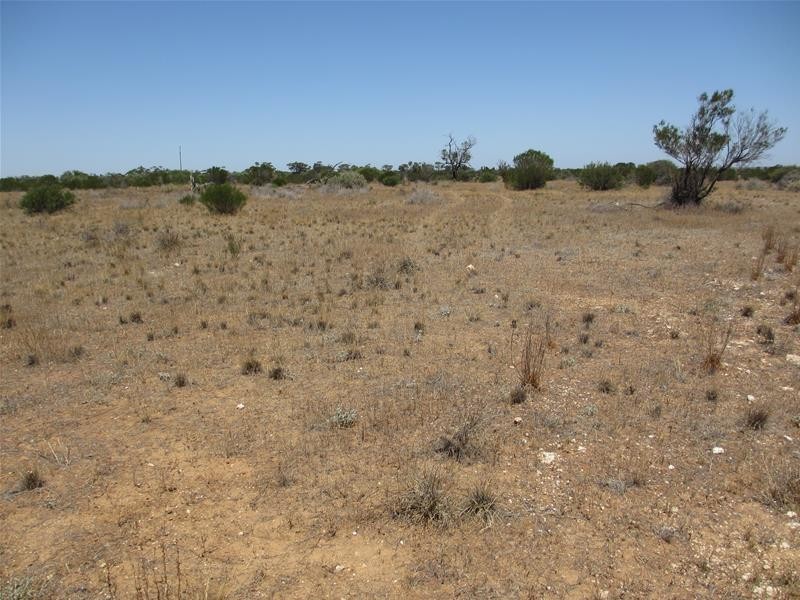 Lot 10 Stott Highway, Swan Reach SA 5354