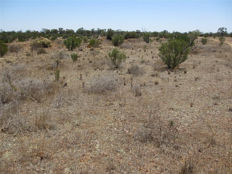 Lot 10 Stott Highway, Swan Reach SA 5354