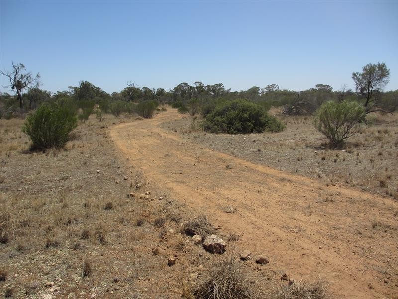 Lot 10 Stott Highway, Swan Reach SA 5354