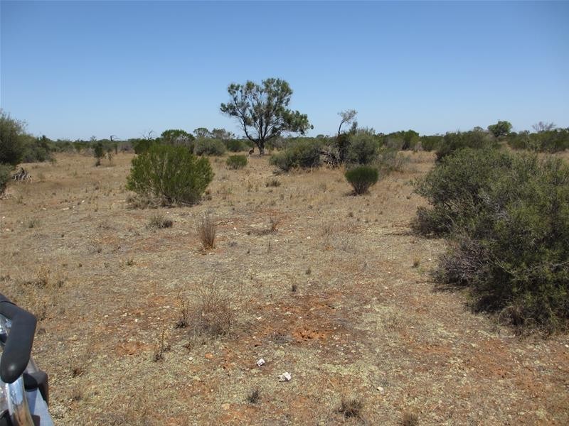 Lot 10 Stott Highway, Swan Reach SA 5354