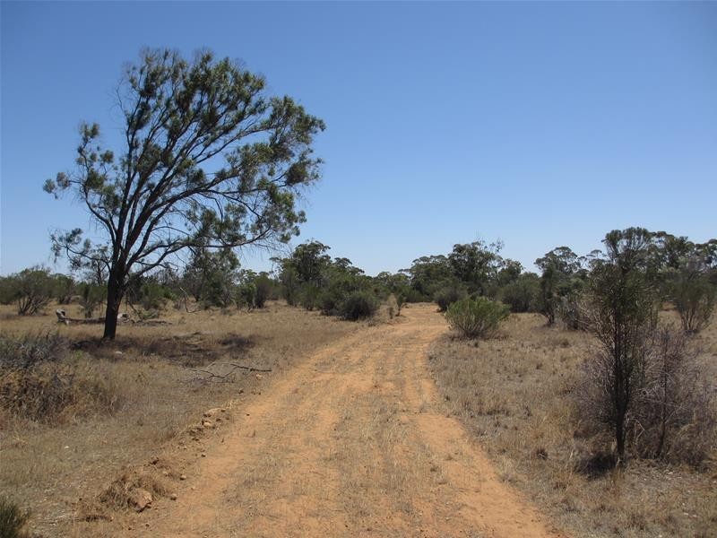 Lot 10 Stott Highway, Swan Reach SA 5354