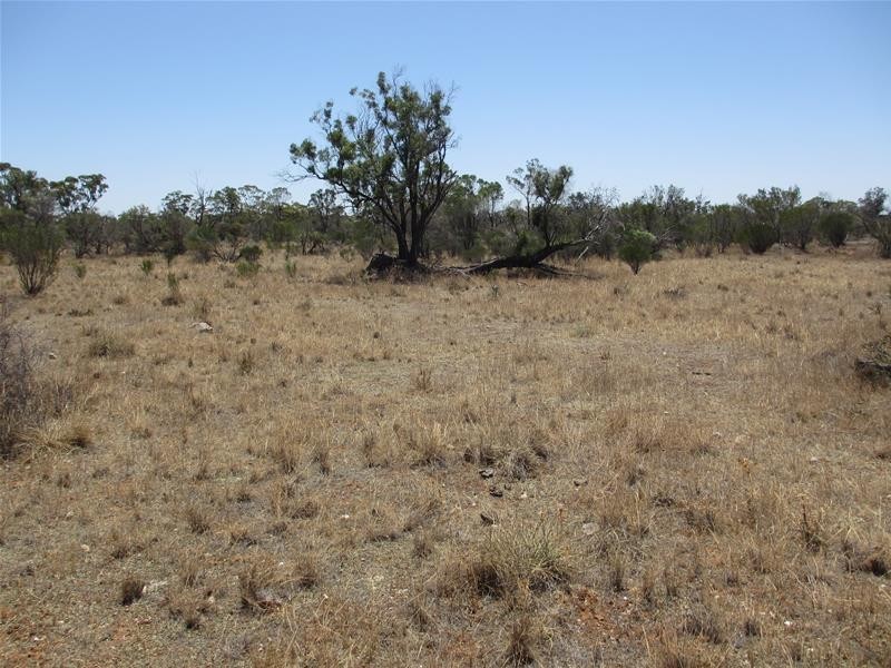 Lot 10 Stott Highway, Swan Reach SA 5354