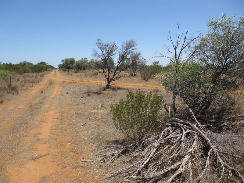 Lot 10 Stott Highway, Swan Reach SA 5354