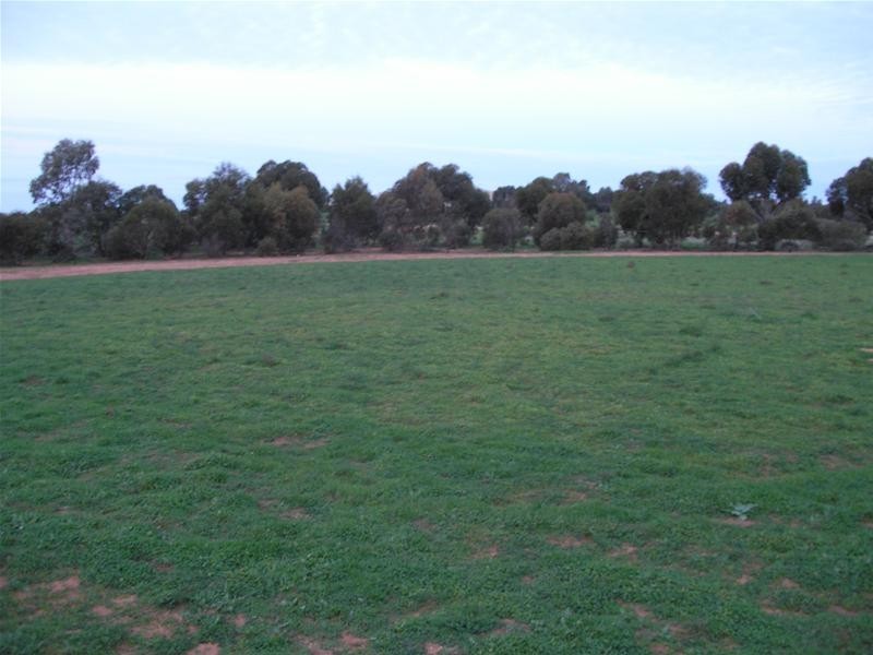 Lots 44 and 45 Martha Street, Caloote SA 5254