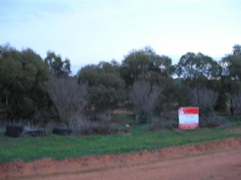 Lots 44 and 45 Martha Street, Caloote SA 5254