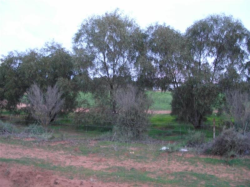 Lots 44 and 45 Martha Street, Caloote SA 5254