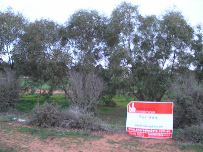 Lots 44 and 45 Martha Street, Caloote SA 5254