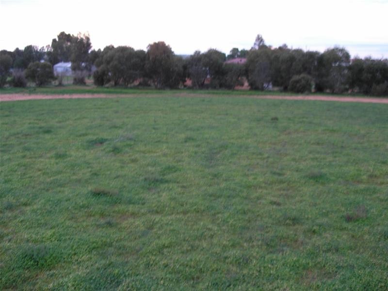 Lots 44 and 45 Martha Street, Caloote SA 5254