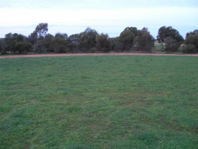 Lots 44 and 45 Martha Street, Caloote SA 5254