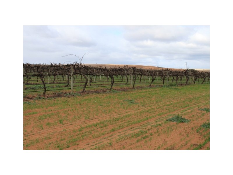 2 Main Road, Bowhill SA 5238