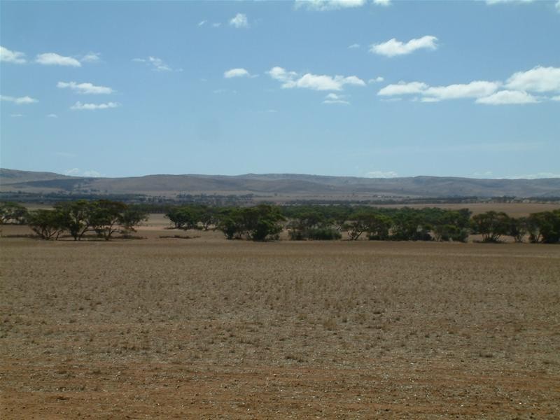 LOT 100 Frayville, Palmer SA 5237