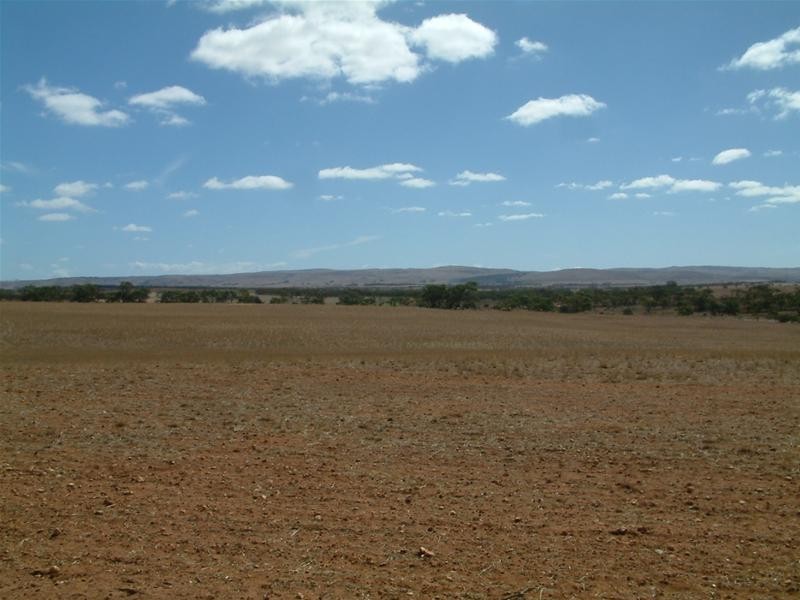 LOT 100 Frayville, Palmer SA 5237