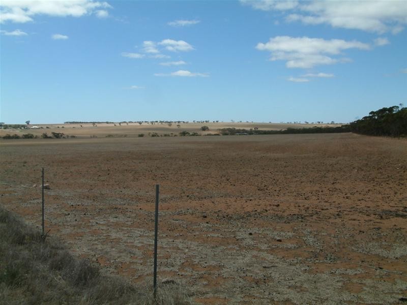 LOT 100 Frayville, Palmer SA 5237
