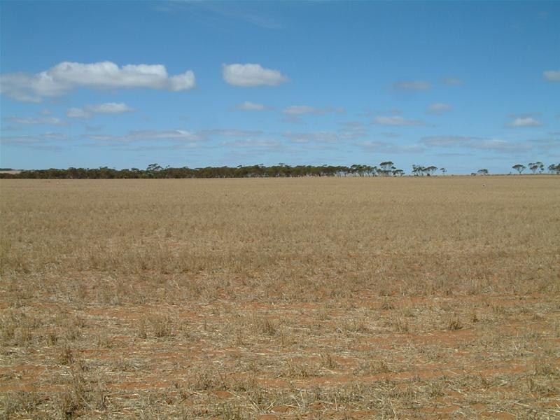 LOT 100 Frayville, Palmer SA 5237