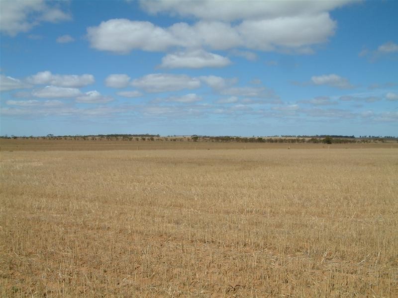 LOT 100 Frayville, Palmer SA 5237