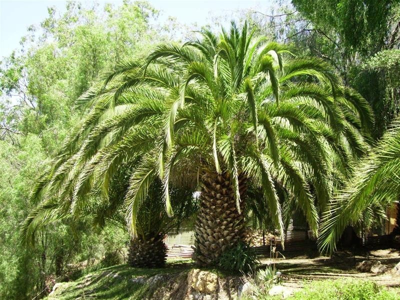 Lot 1 Cliff View Drive Maynards Landing, Walker Flat SA 5238