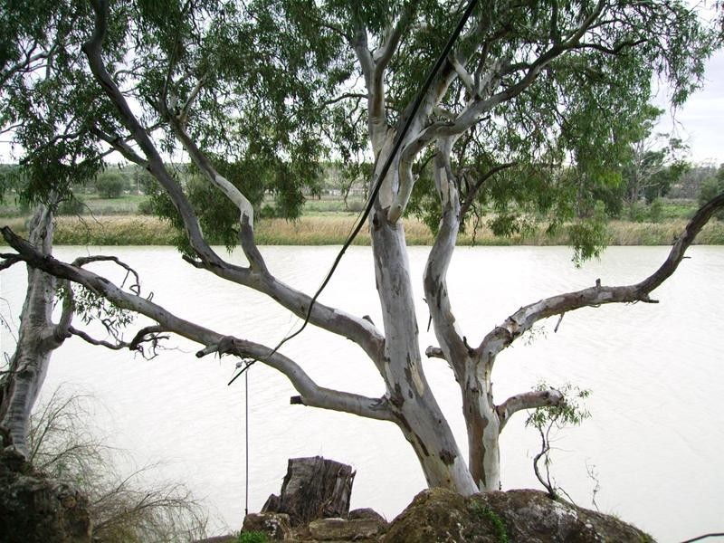 Lot 1 Cliff View Drive Maynards Landing, Walker Flat SA 5238