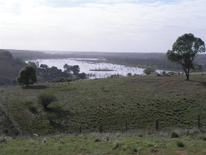 1 Myall Place, Mannum SA 5238