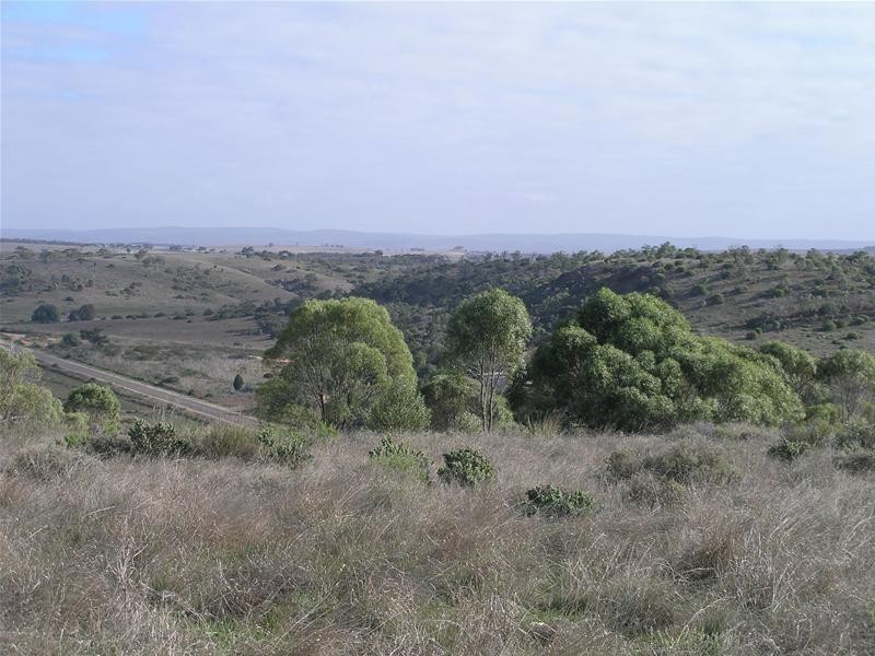 1 Myall Place, Mannum SA 5238