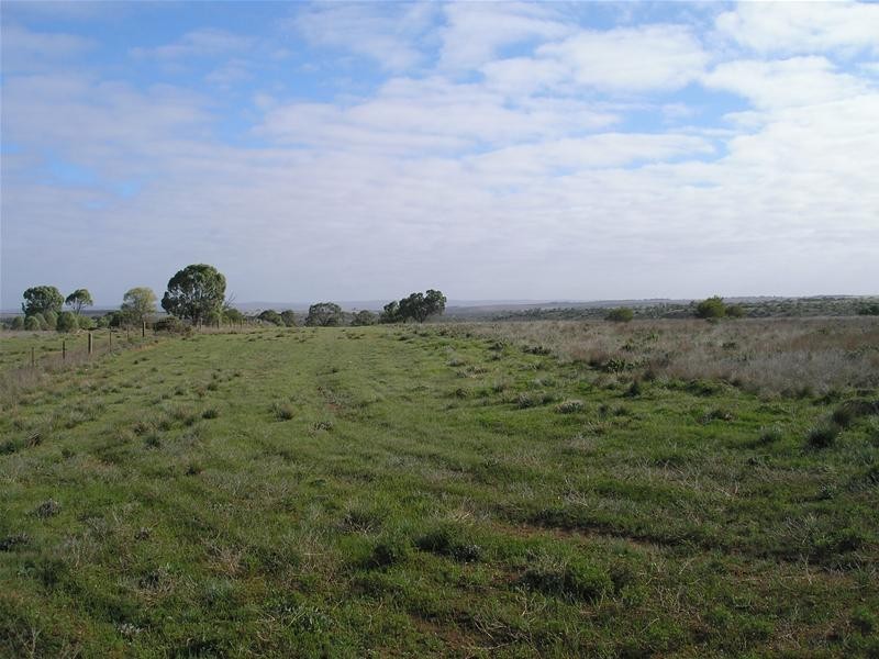 1 Myall Place, Mannum SA 5238