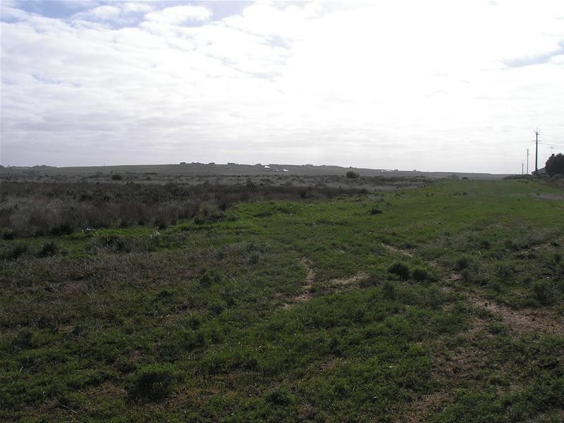 1 Myall Place, Mannum SA 5238