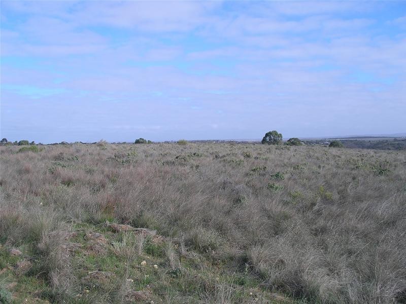 1 Myall Place, Mannum SA 5238