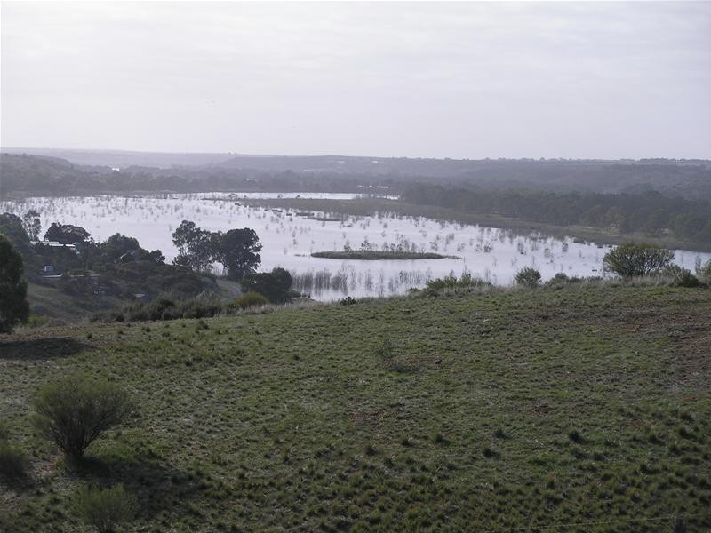 1 Myall Place, Mannum SA 5238