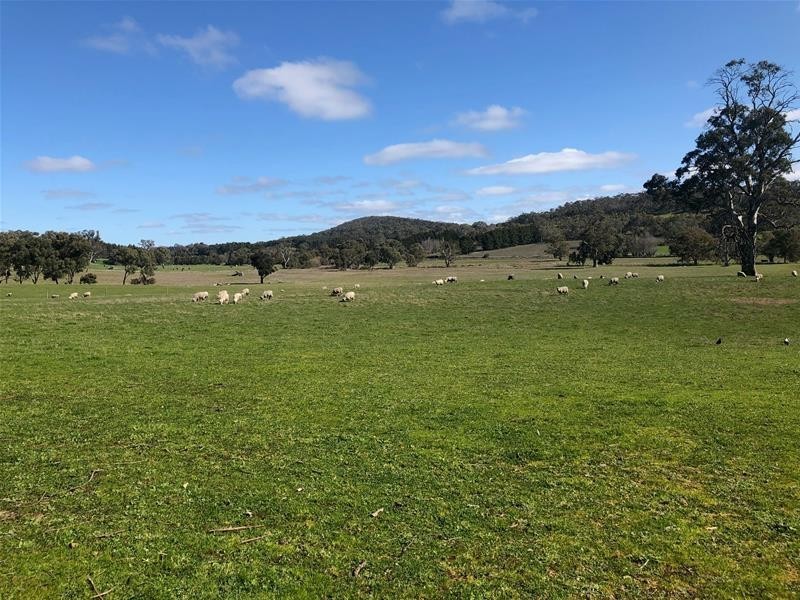 Lot 92 Onkaparinga Valley Road, Mount Torrens SA 5244