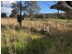 Lot 92 Onkaparinga Valley Road, Mount Torrens SA 5244