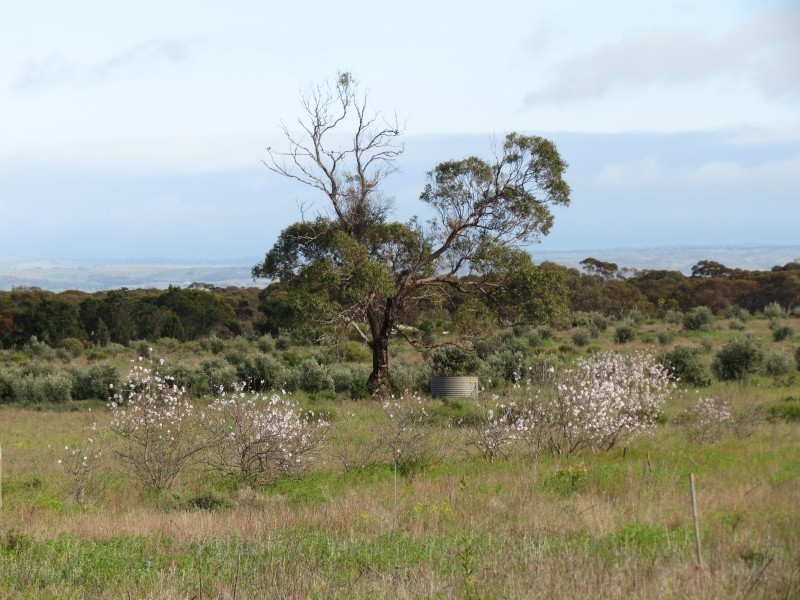 733 Rathjen Road, Mypolonga SA 5254