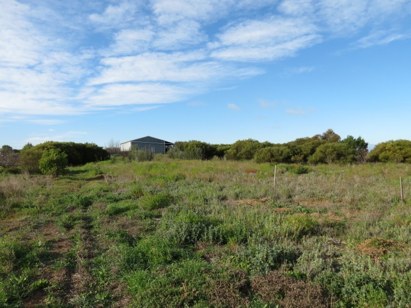 733 Rathjen Road, Mypolonga SA 5254