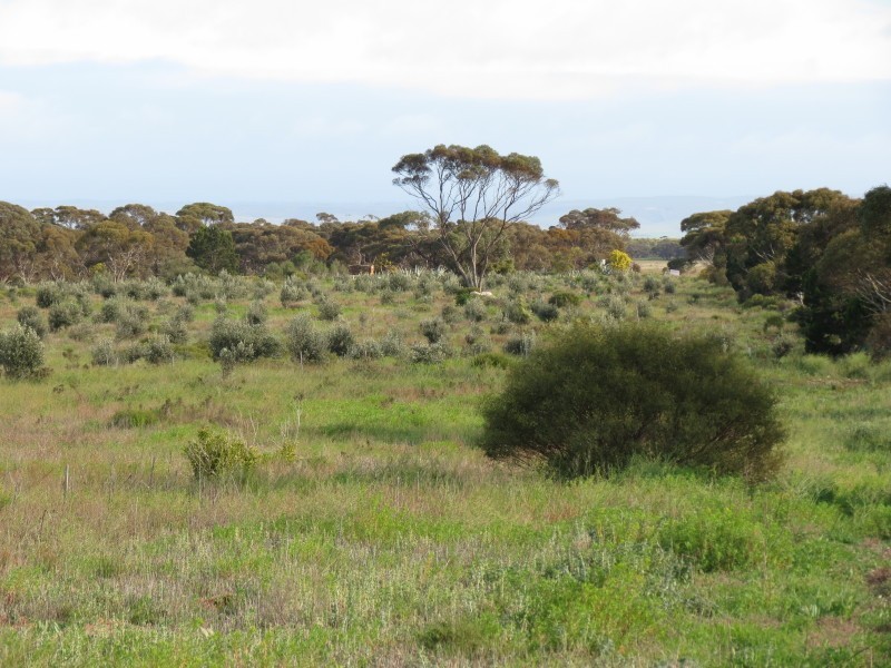 733 Rathjen Road, Mypolonga SA 5254