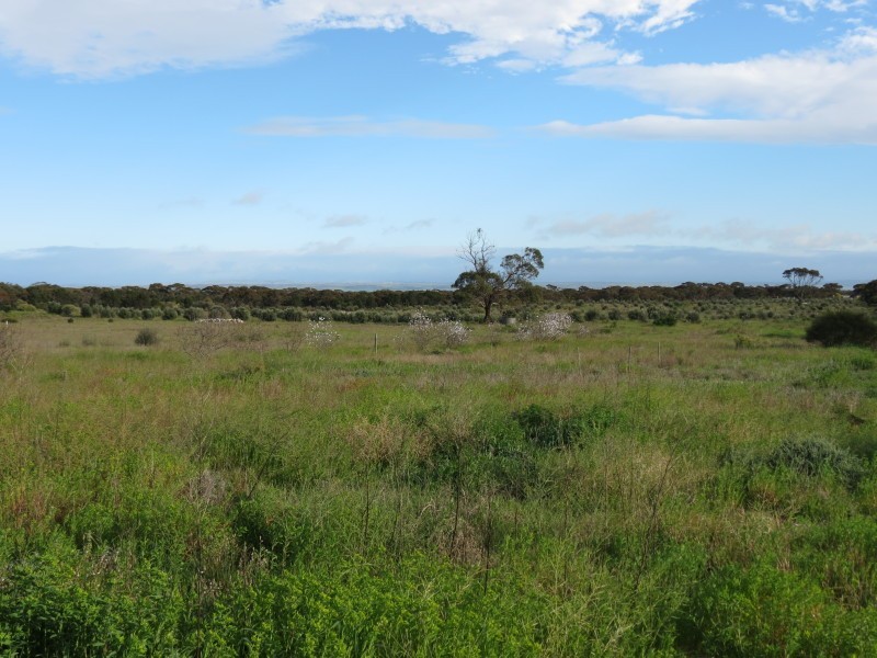 733 Rathjen Road, Mypolonga SA 5254