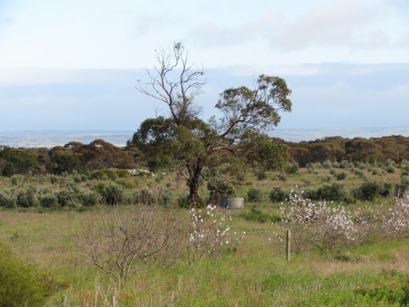 733 Rathjen Road, Mypolonga SA 5254