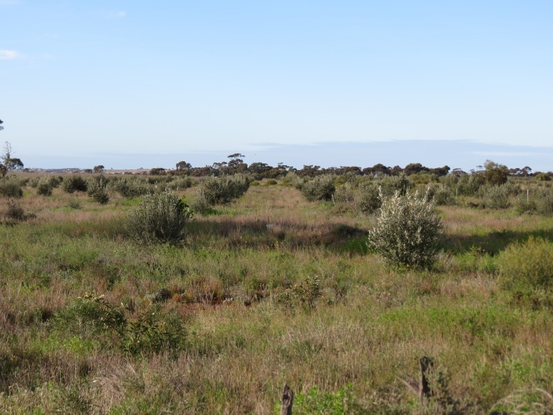 733 Rathjen Road, Mypolonga SA 5254