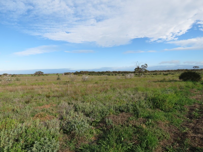 733 Rathjen Road, Mypolonga SA 5254