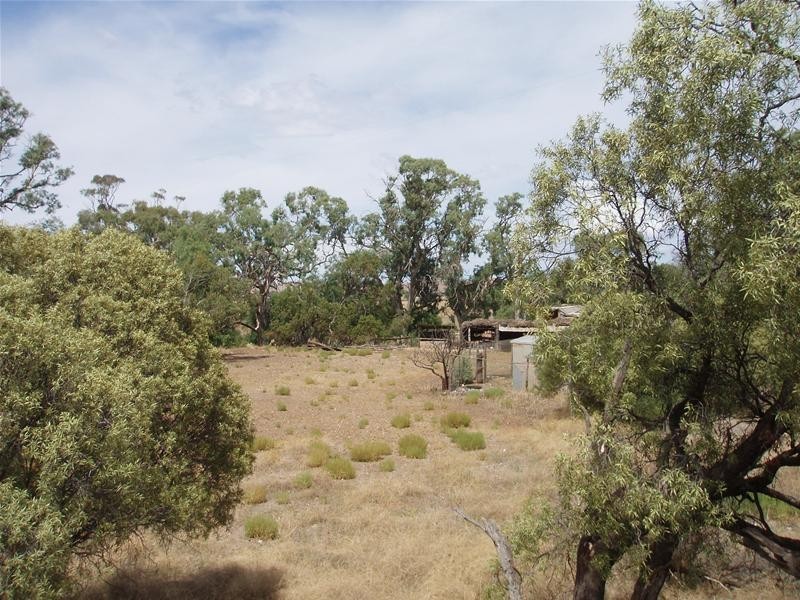 Lot 1, 1 Bank Road, Sedan SA 5353
