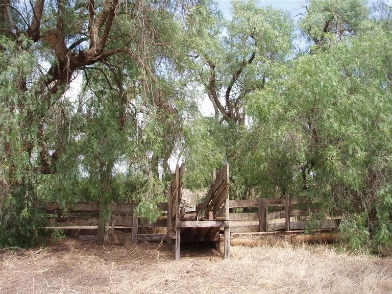 Lot 1, 1 Bank Road, Sedan SA 5353