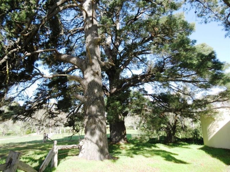 400 Jutland Road, Springton SA 5235