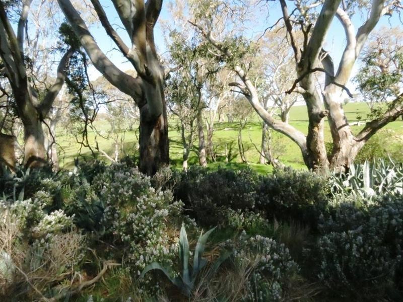 400 Jutland Road, Springton SA 5235