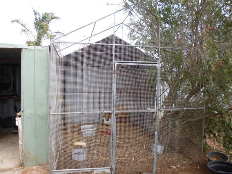 13 Charles Street, Mannum SA 5238