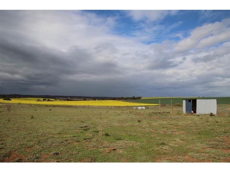 39 Magpie Crescent, Mannum SA 5238