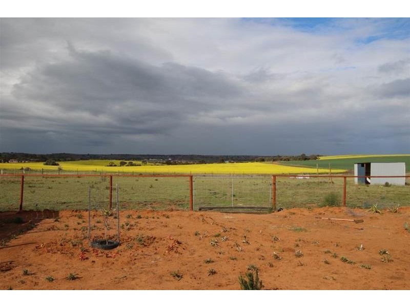 39 Magpie Crescent, Mannum SA 5238