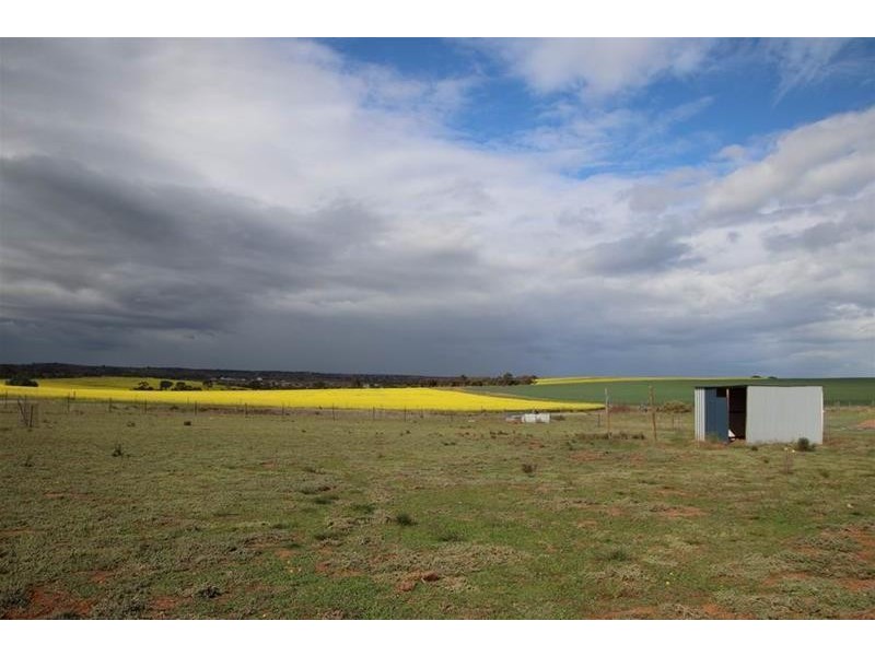 39 Magpie Crescent, Mannum SA 5238