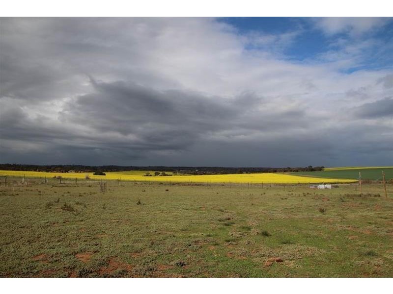 39 Magpie Crescent, Mannum SA 5238